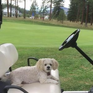 Meet your Posher, Greg